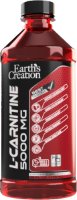 Earth's Creation Liquid Carnitine 5000 mg per Tablespoon Non Stimulant - BenfoComplete